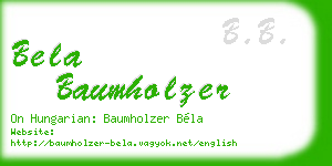 bela baumholzer business card